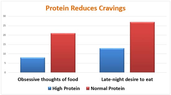 protein reduces cravings