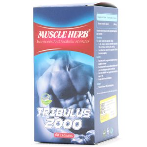 کپسول ماسل هرب بهتا دارو 60 عددی