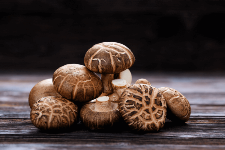 تصویر قارچ شیتاکه Shiitake