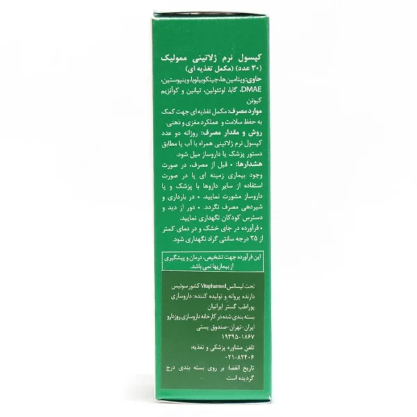 کپسول ممولیک