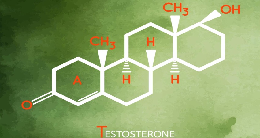 هورمون تستوسترون چیست