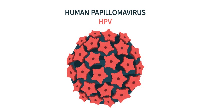 طول عمر ویروس hpv