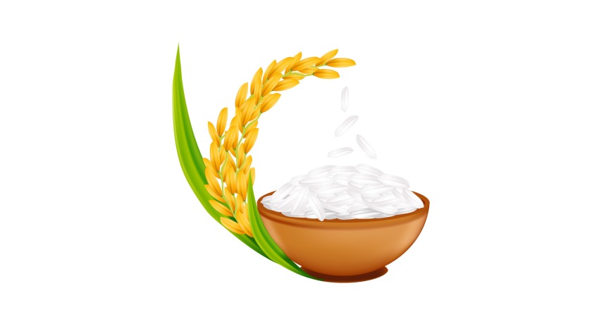 رشد سریع مو با یک ترفند ساده 6 rice realistic illustration 249011 171