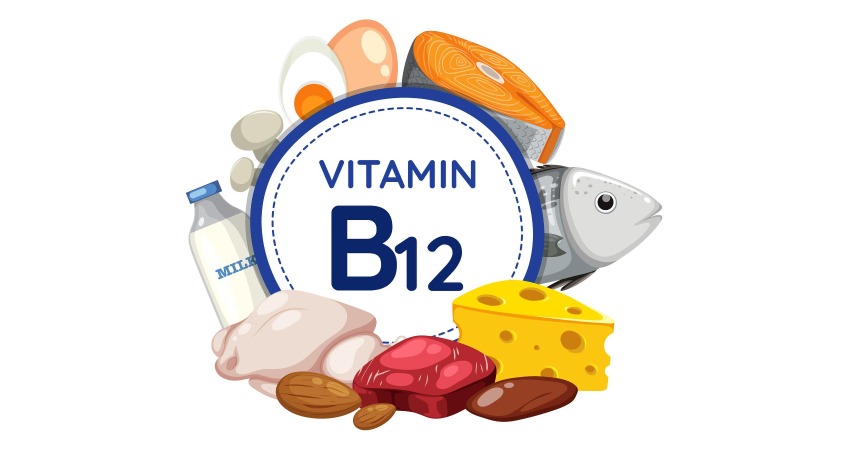 ویتامین B12؛ محرک اشتها و انرژی