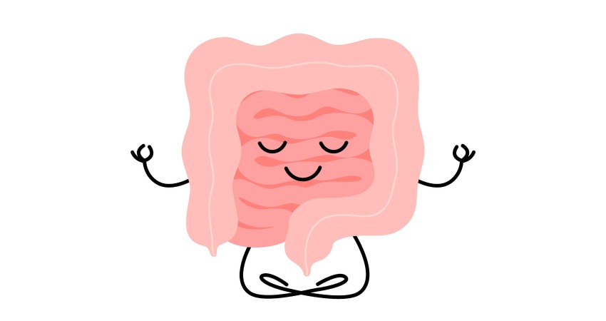 سلامت روده