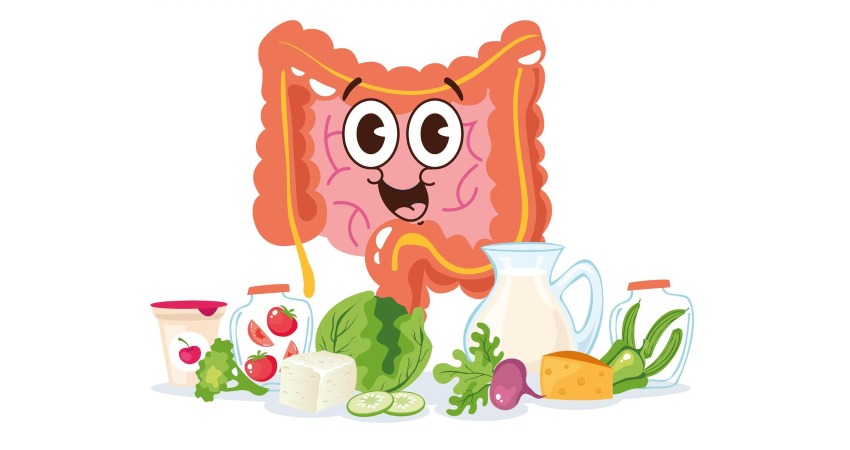 برای گرمی روده چه بخوریم