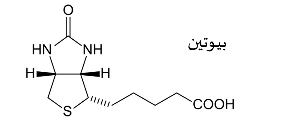 ساختار شیمیایی بیوتین
