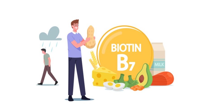 علائم کمبود بیوتین در بدن؛ چه کسانی بیشتر در معرض کمبود هستند؟ 2 مواد غذایی غنی از بیوتین