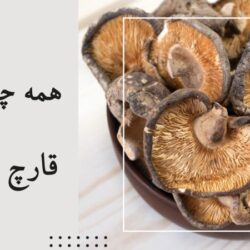قارچ شی تاکه چیست؟